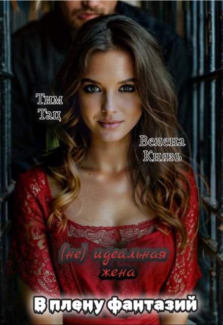 (не) идеальная жена. В плену фантазий